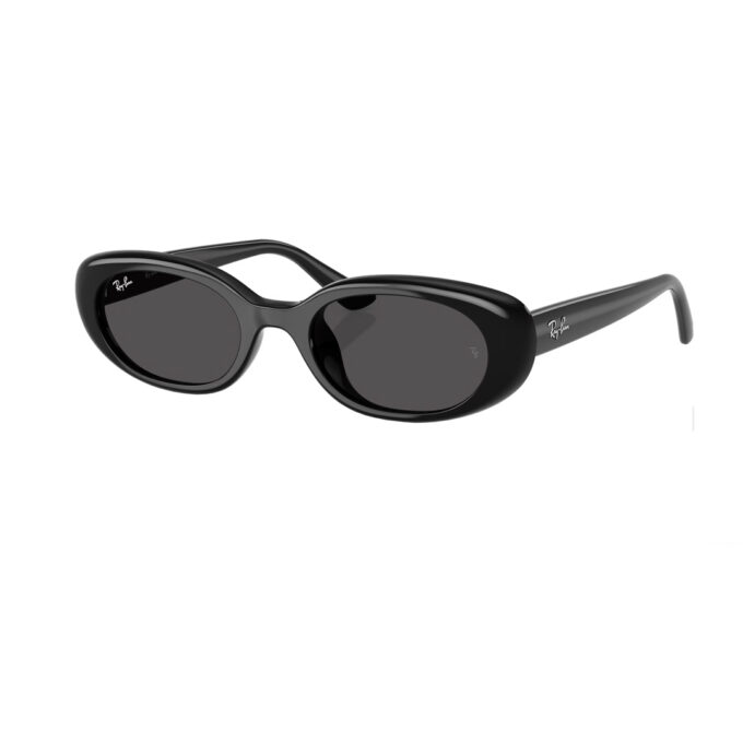 Sunglasses – Ray-Ban RB4441