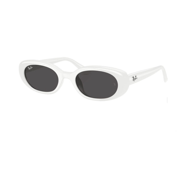 Sunglasses – Ray-Ban RB4441