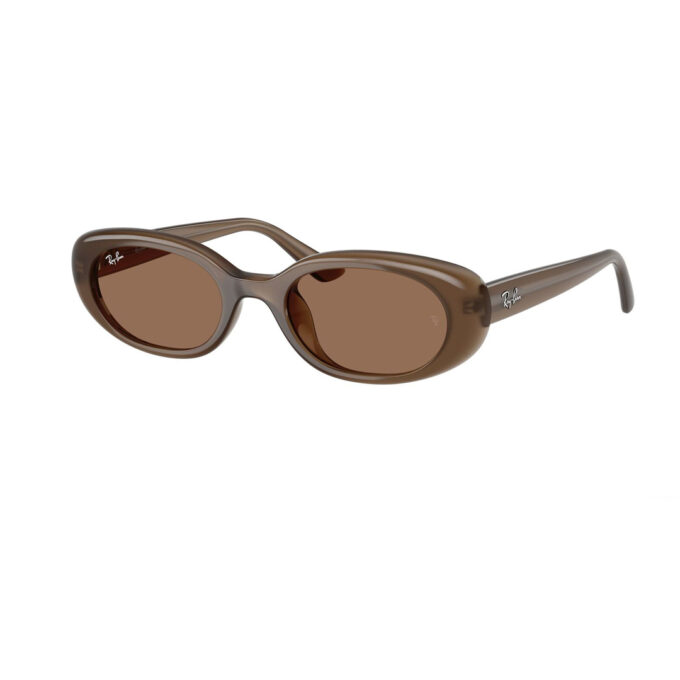 Sunglasses – Ray-Ban RB4441